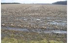 Property photo 42 - 98+/- Acres Offered in 6 Tracts or Combinations, Noble County, Indiana Farm